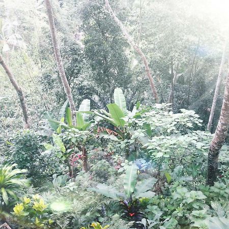 Hotel Ubud River Side House Zewnętrze zdjęcie