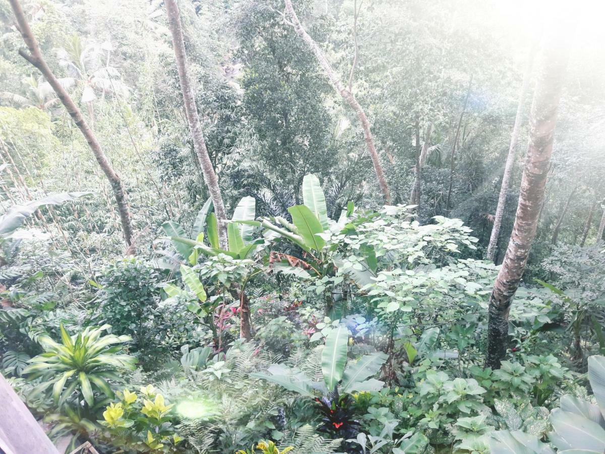 Hotel Ubud River Side House Zewnętrze zdjęcie