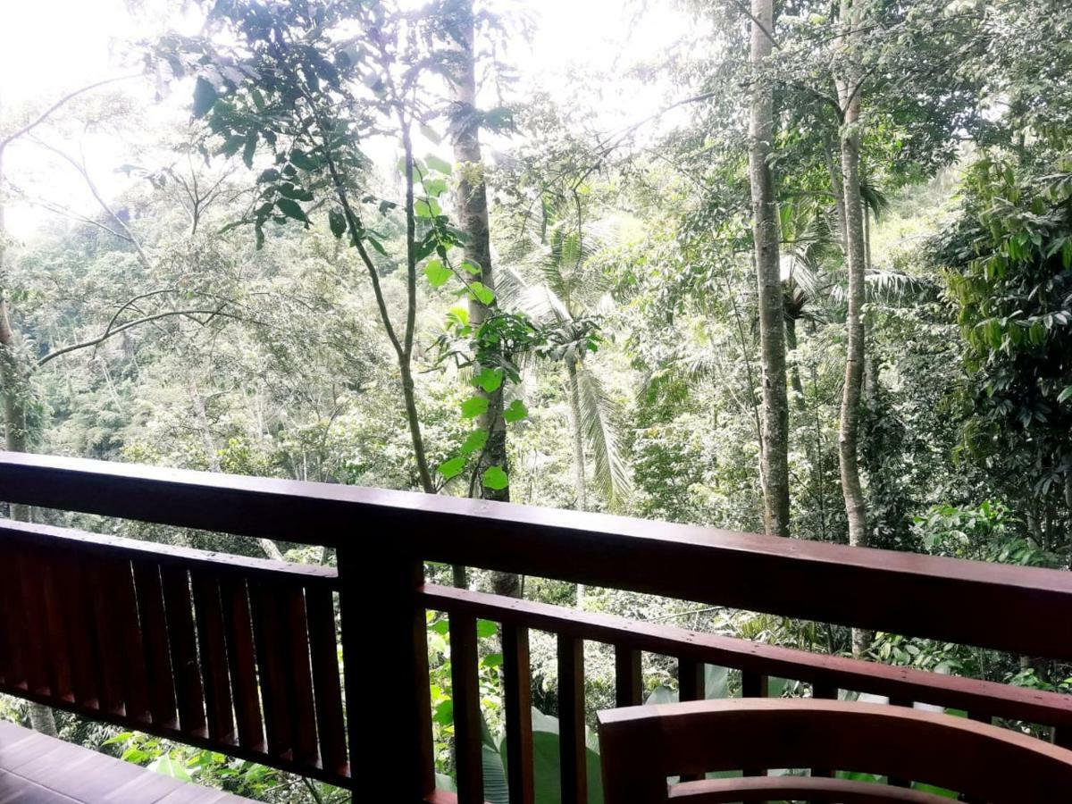 Hotel Ubud River Side House Zewnętrze zdjęcie
